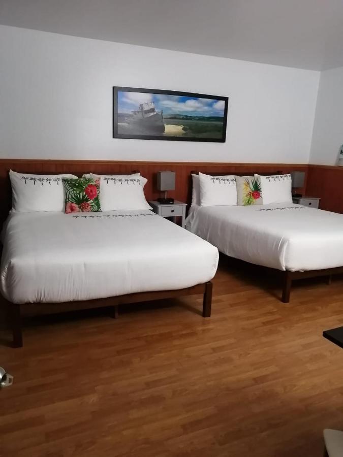 Hotel Fleurs Karaibes Saint-Alexandre-de-Kamouraska Eksteriør bilde